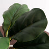 38cm Potted Artificial Fiddle Fig Plant - Premium Quality