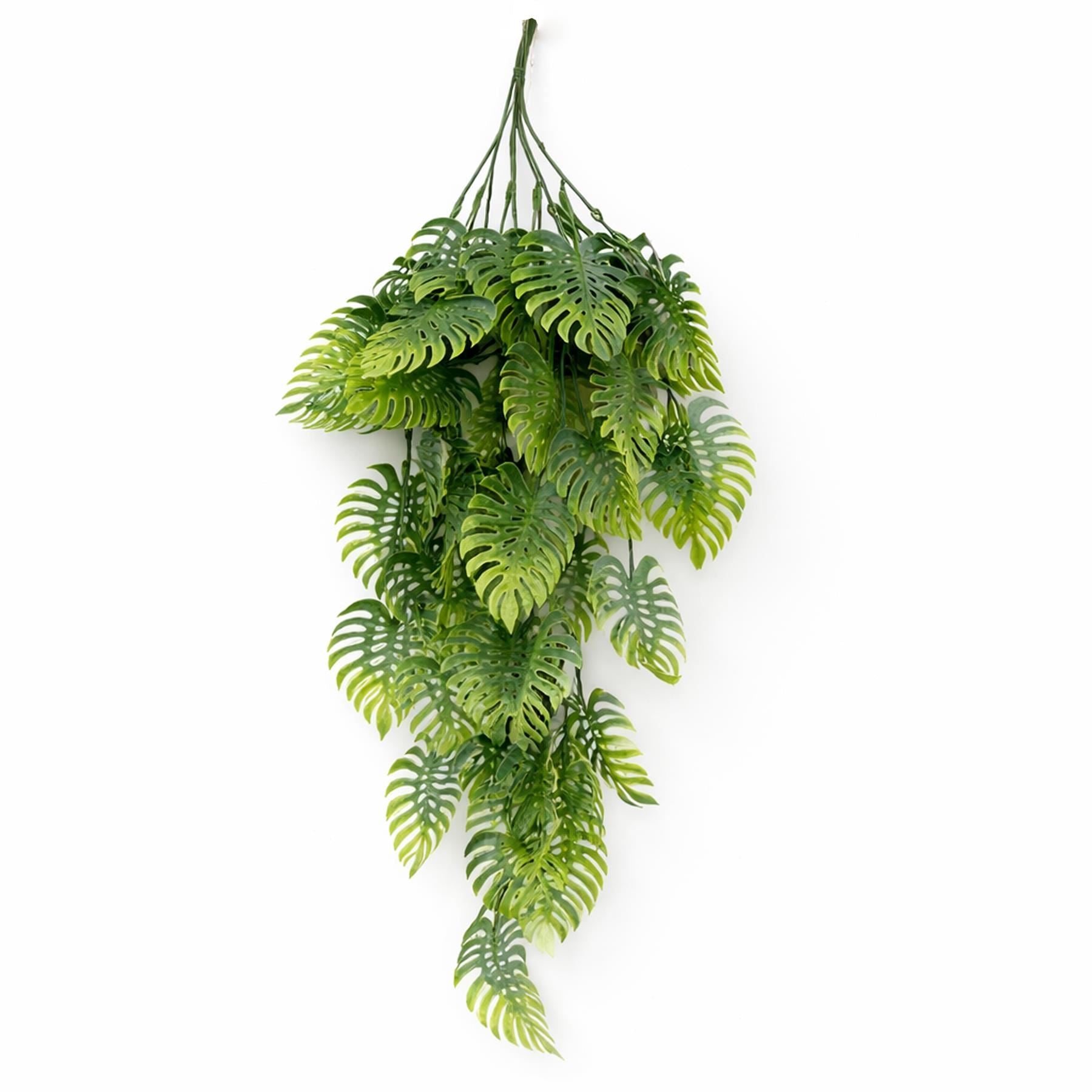 Pack of 6 x 80cm Trailing Tropical Monstera Plant - Sage Green