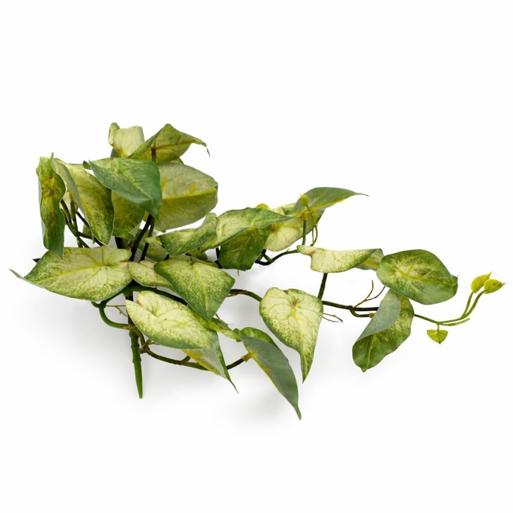 Pack of 6 x 25cm Artificial Trailing Variegated Caladium Vine Plant Light Green - Premium Quality