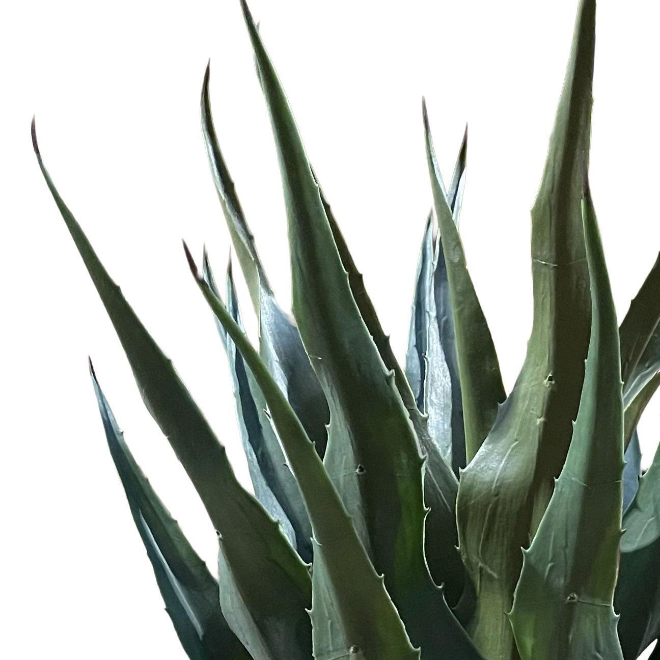 70cm Agave Tropical Yucca Artificial - Premium Quality