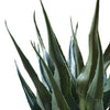 70cm Agave Tropical Yucca Artificial - Premium Quality
