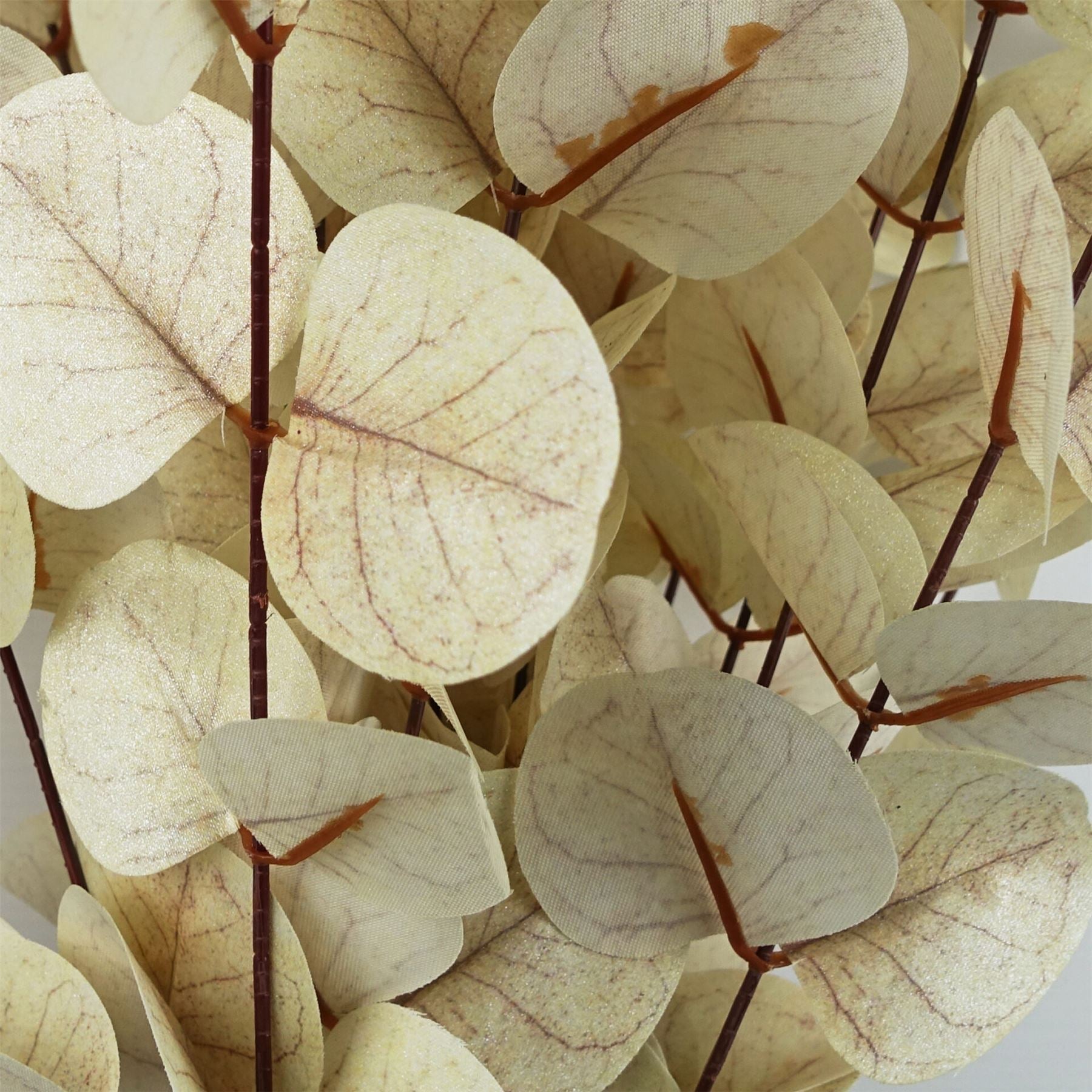 Pack of 6 x 80cm White Eucalyptus Foliage Stem - Premium Quality