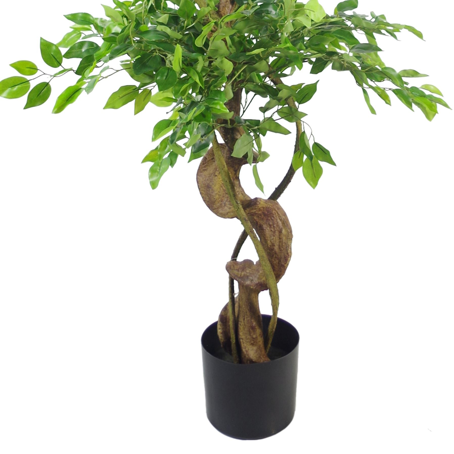 Japanese Fruticosa Ficus Tree Black Planter 150cm Twisted Trunk Artificial Botanik