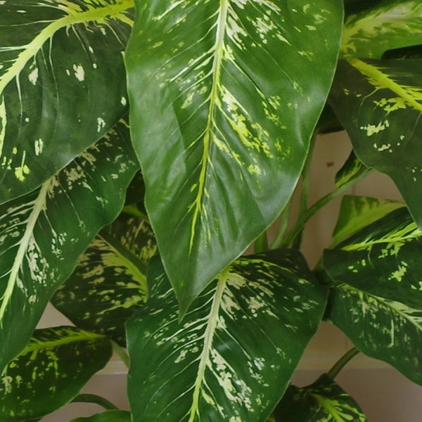 Large Artificial Plant Tree Gold Planter 100cm Natural Aglaonema Spotted Botanik