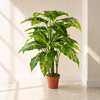 Artificial Large Spotted Plant Fox AglaonemaTree Artificial Plant 100cm Botanik