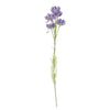 Pack of 6 x 60cm Purple Starflower Stem - 30 Flowers - Premium Quality