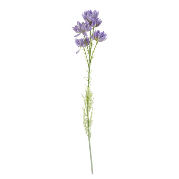 Pack of 6 x 60cm Purple Starflower Stem - 30 Flowers - Premium Quality