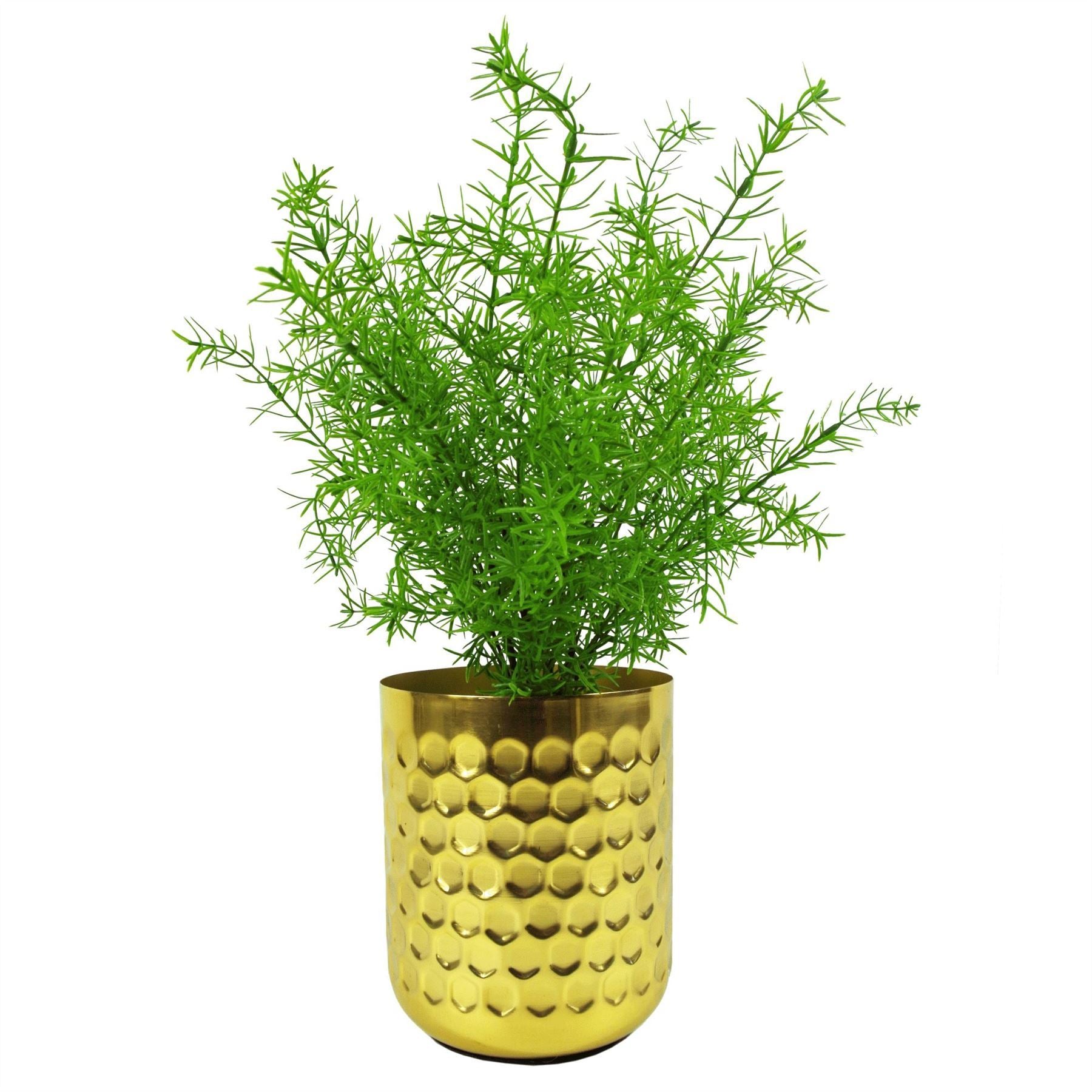 6 x 45cm Artificial Asparagus Fern Plant - Premium Quality