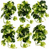 Pack of 6 x 25cm Artificial Trailing Variegated Monstera Vine Plant - Premium Quality