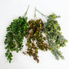 75cm Artificial Trailing Round Leaf Hanging Foliage Plant - Autumn Green & Bronze