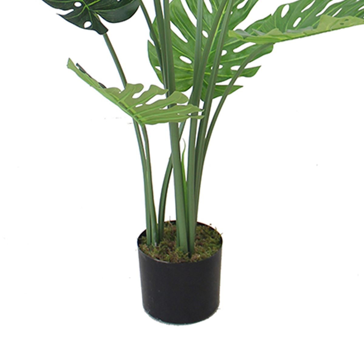 (4ft) Luxury Monstera Plant Black Pot 120cm