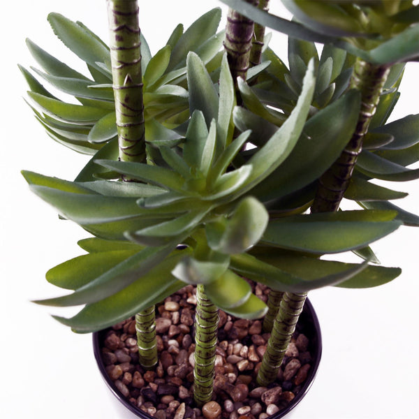Large Artificial Tropical Yukka in Planter