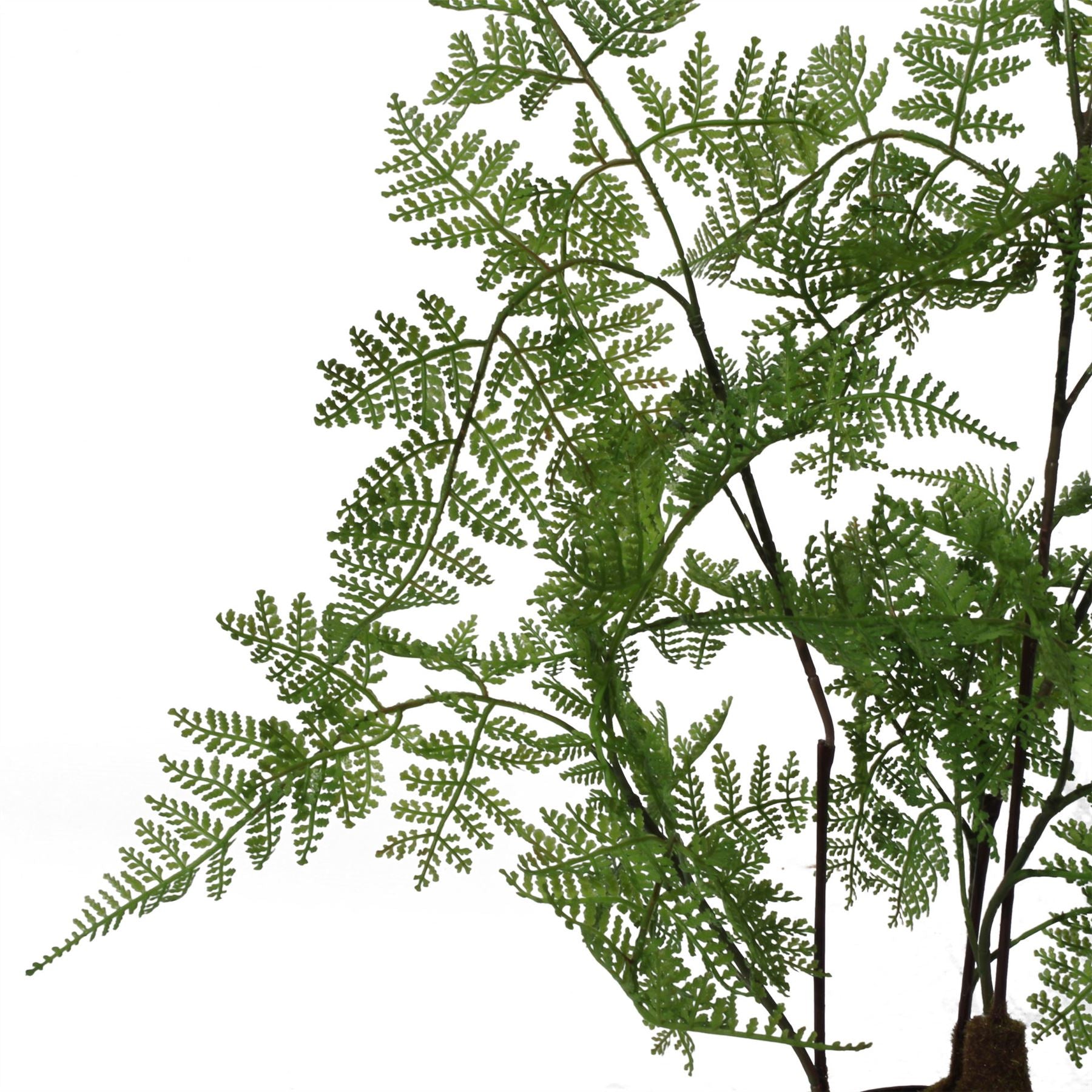 Artificial 90cm Natural Moss Base Fern Foliage Plant