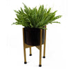 12 x 40cm Artificial Crocodile Fern Plant - Premium Quality