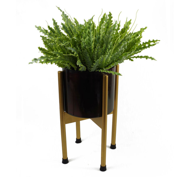 12 x 40cm Artificial Crocodile Fern Plant - Premium Quality
