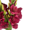 Pack of 6 x 115cm Artificial Pink Gladioli Stem