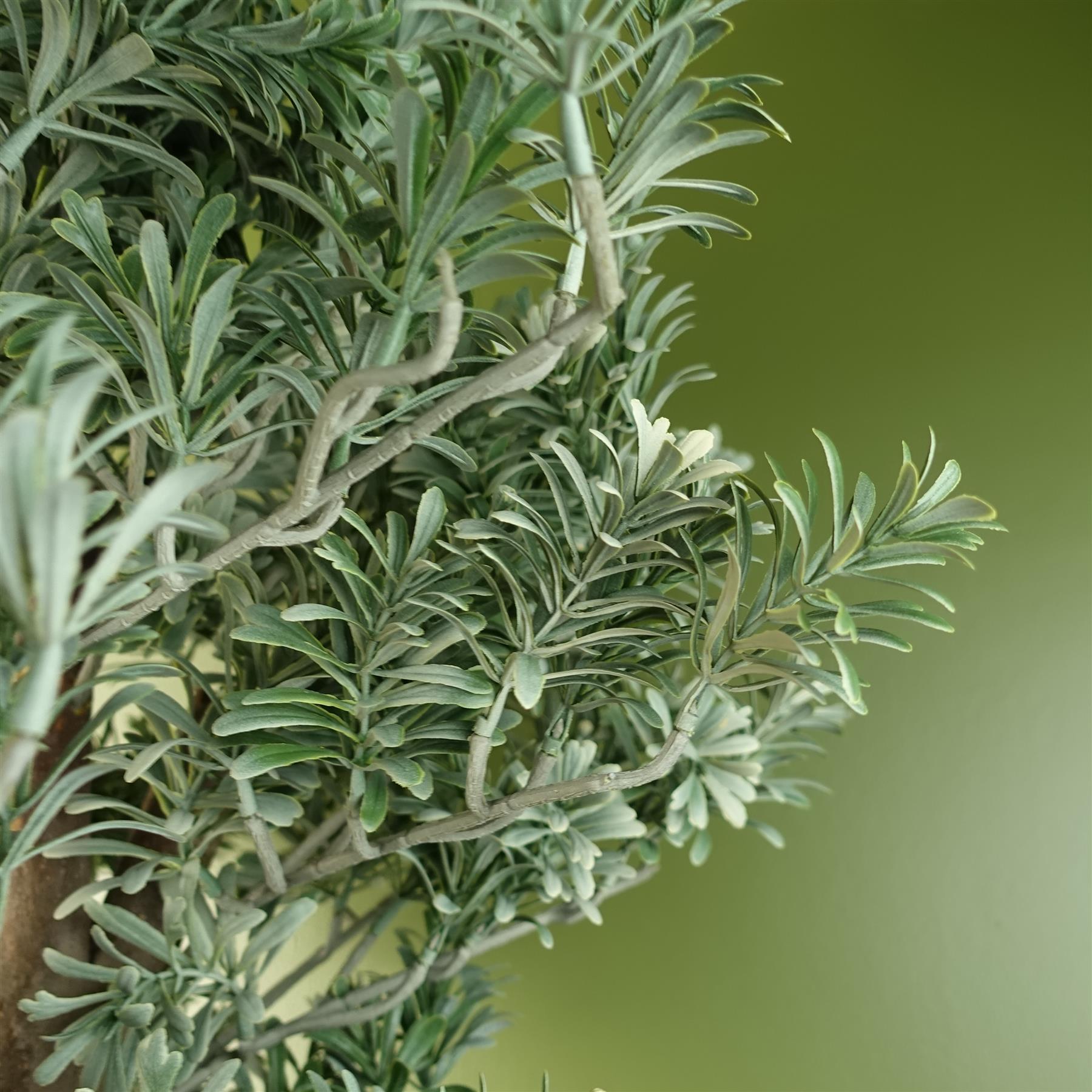 Artemisa Shrub 70cm