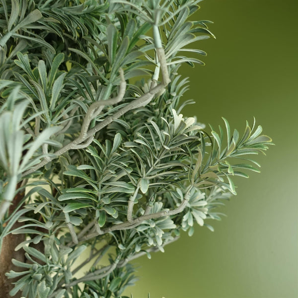 Artemisa Shrub 70cm