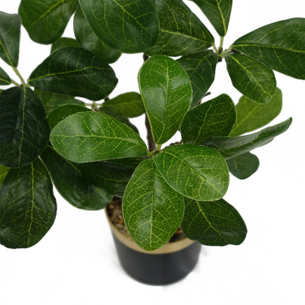 Leaf Design 60cm Artificial Tropical Bonsai Ficus Tree