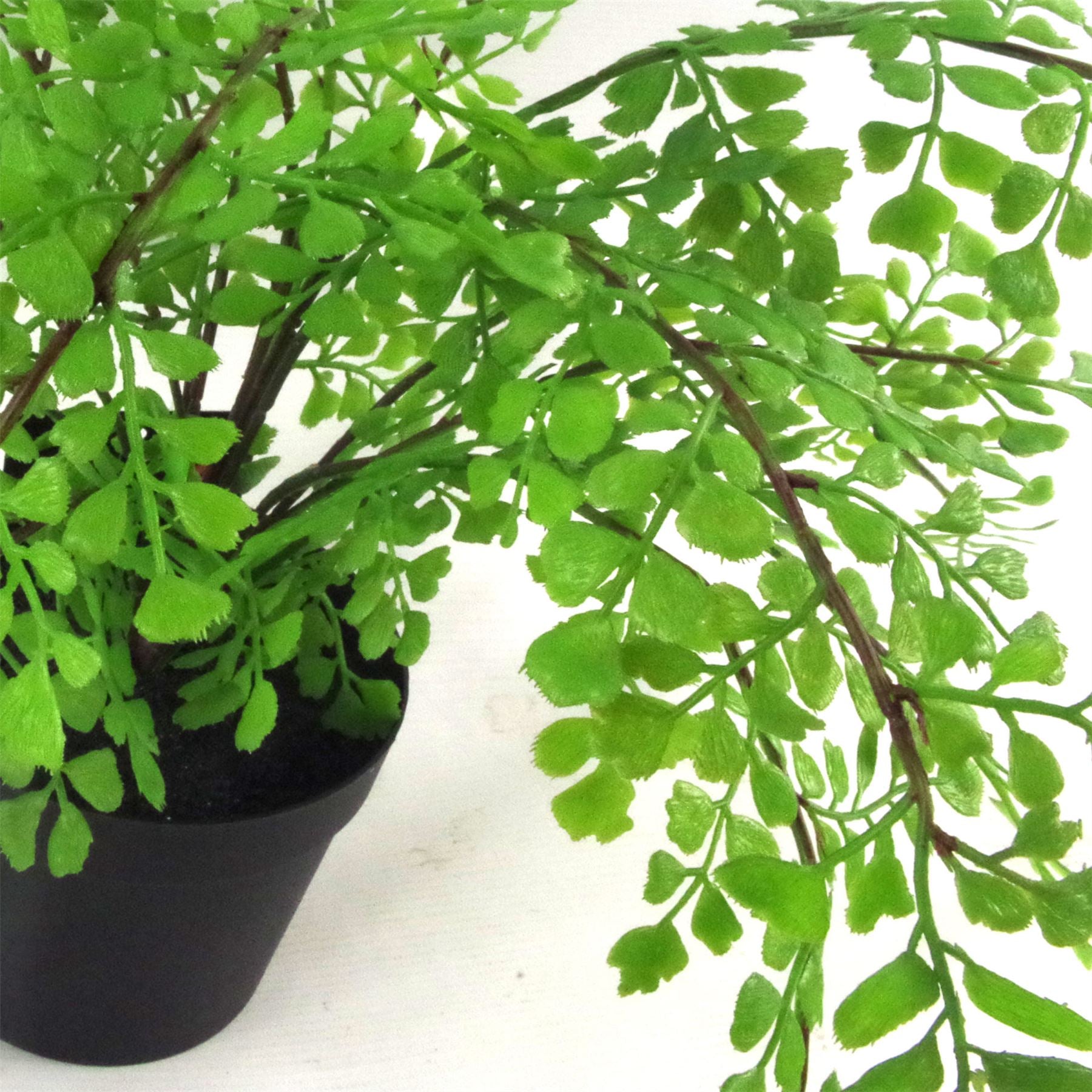 Artificial Fern Plant Pot Maidenhair Fern 35cm Leaf Design UK Realistic Plant Botanik