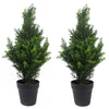 60cm Pair of Artificial Cedar Cypress Topiary UV Resistant - Premium Quality
