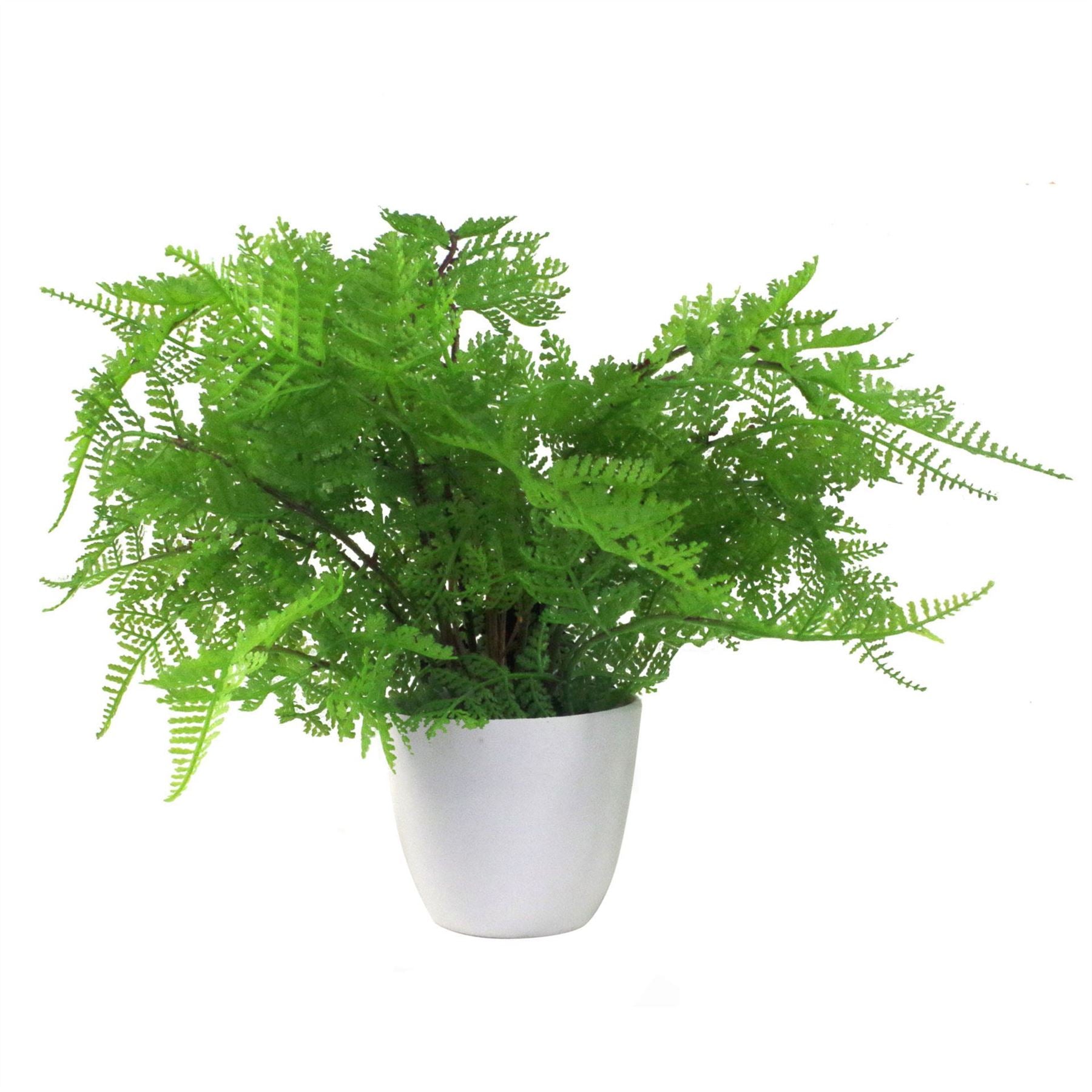 Artificial Ferns Plants Pack of 3 x 30cm Botanical Fern 30cm Potted Display Botanik