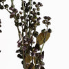 Pack of 6 x Artificial Foliage Dark Berry Stem 85cm