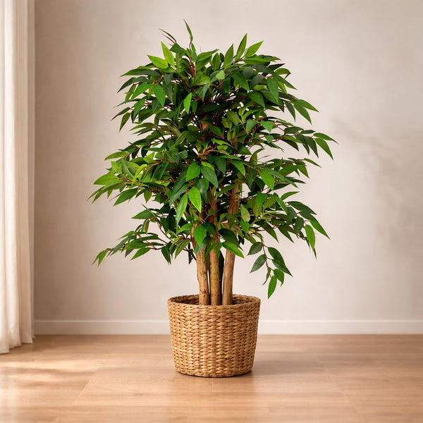 Artificial Ficus Tree Plant 90cm Similax Tree Trunk