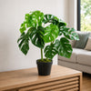 Artificial Monstera Cheese Plant Monstera 80cm Plants
