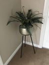 Artificial Boston Fern Plant - 60cm Boston Fern