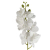 Pack of 6 x 100cm Artificial Phalaenopsis Orchid White Stem - Premium Quality