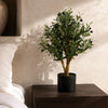 Artificial Olive Tree Black Plastic Pot 65cm Luxury Olive 65cm Real Wood Trunk Botanik