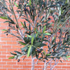 250cm XXL Artificial Olive Tree with Decorative Planter - Premium Quality