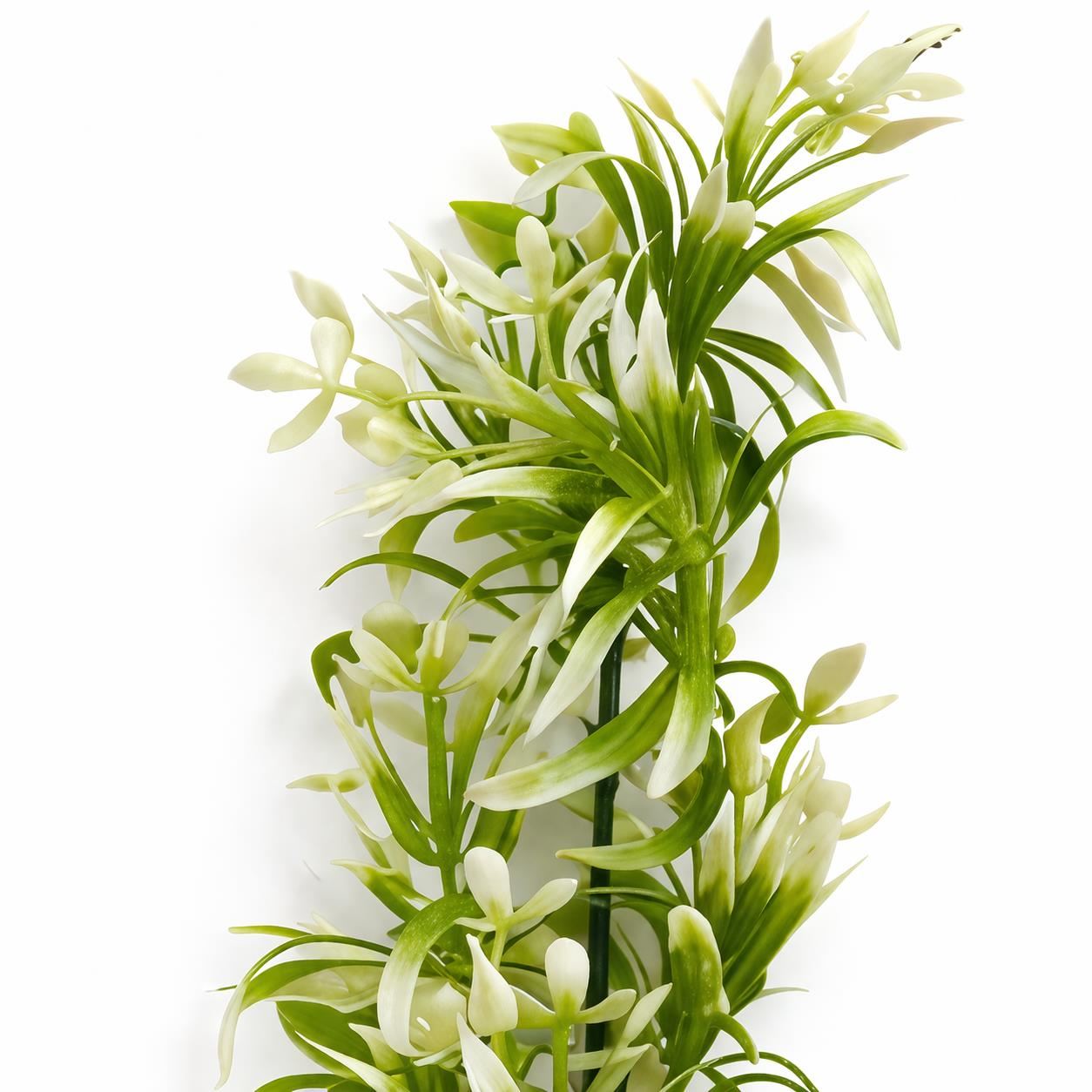 Pack of 6 x 48cm Artificial White Blossom Spray Stem