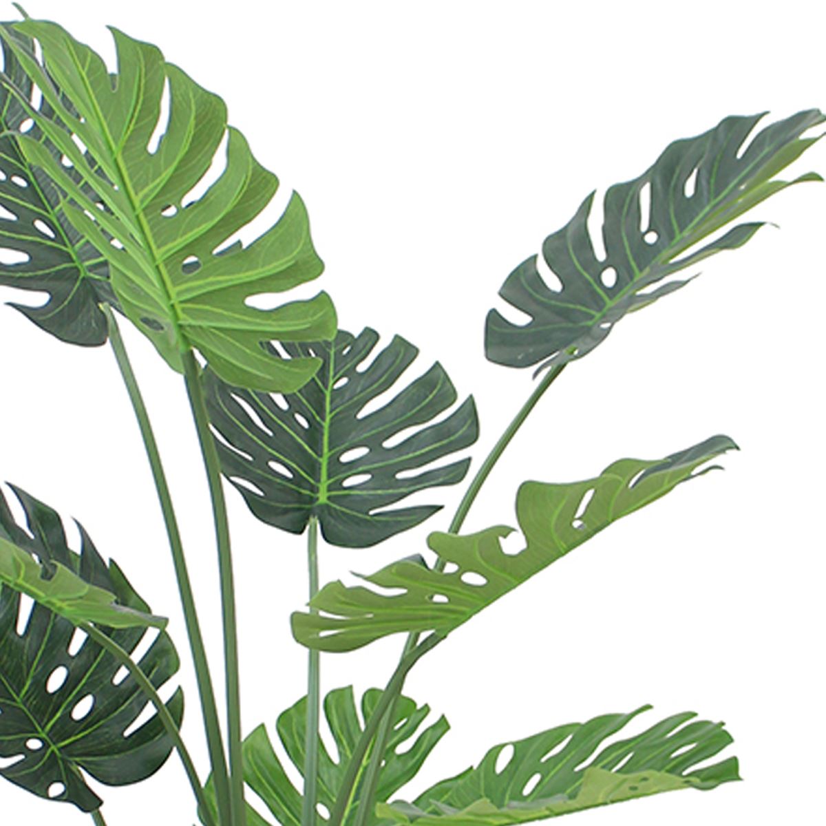 (4ft) Luxury Monstera Plant Black Pot 120cm
