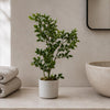 45cm Artificial Aglaia Odorata Bonsai Ficus Tree - Premium Quality