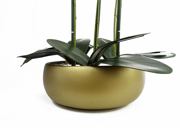 Orchid Black - White Ceramic Planter