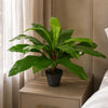 60cm Bushy Large Bird's Nest Fern Plant Artificial