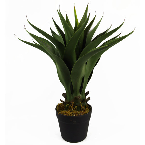 Artificial Yukka Tropical House Plant Plastic Pot 55cm Faux House Plants Botanik