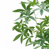 180cm Artificial Money Tree Pachira Realistic Faux Tree - Premium Quality