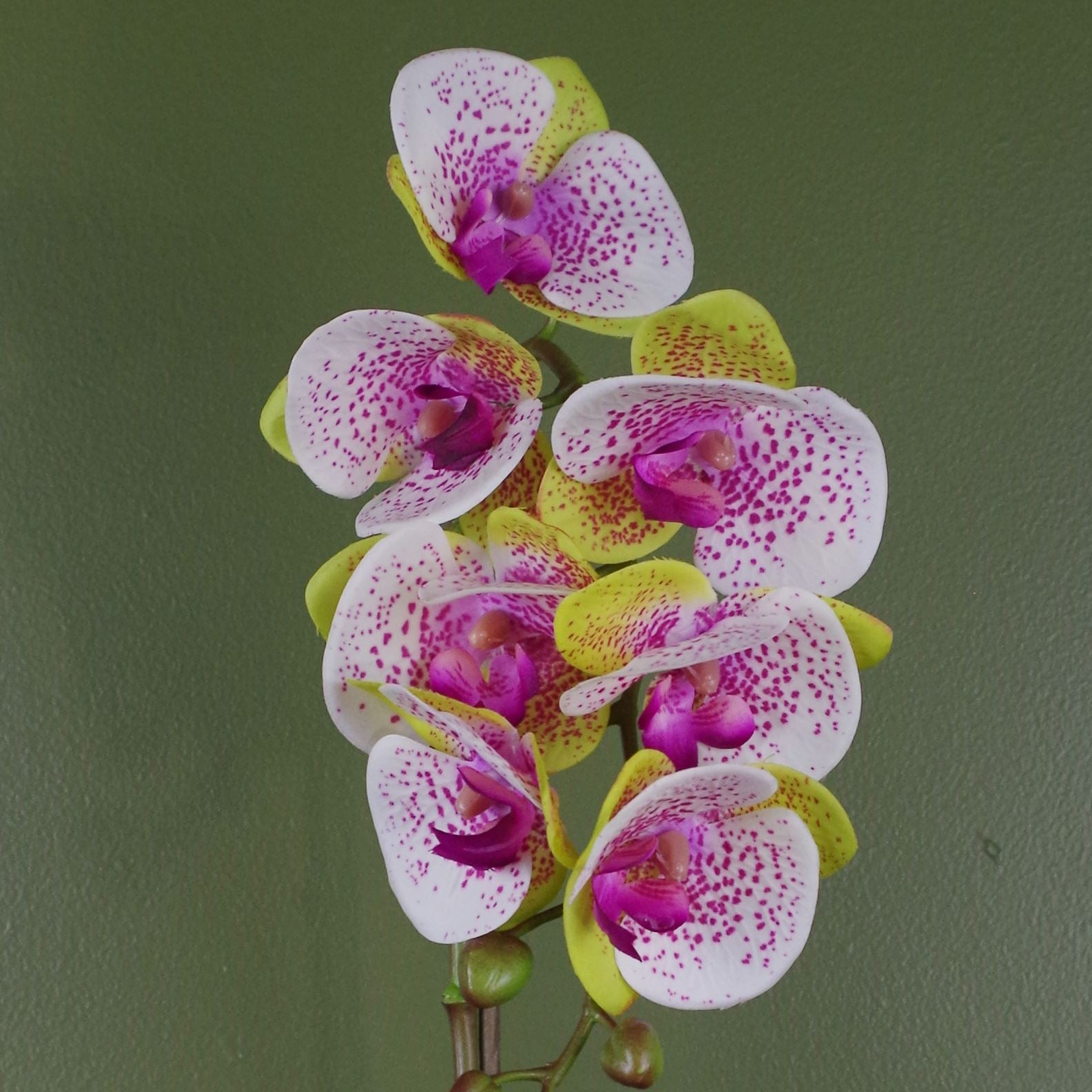 Artificial Orchid Harlequin Pink with Silver Pot 46cm