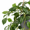 70cm Artificial Green Tradescantia Hanging Plant in Grey Pot