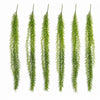 Pack of 6 x 100cm Artificial Trailing Rhipsalis Style Hanging Plant - Dark Green Tips - Premium Quality