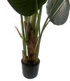 150cm UV Traveller Banana Palm Tree - Premium Quality