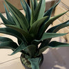 60cm Deluxe Yukka Artificial - Premium Quality