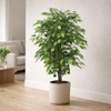 Artificial Ficus Tree Plant 90cm Bush Ficus Plants