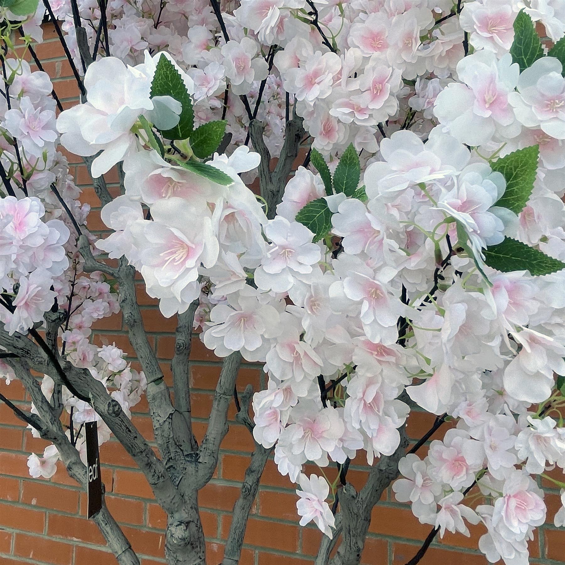 260cm XXL Cherry Tree