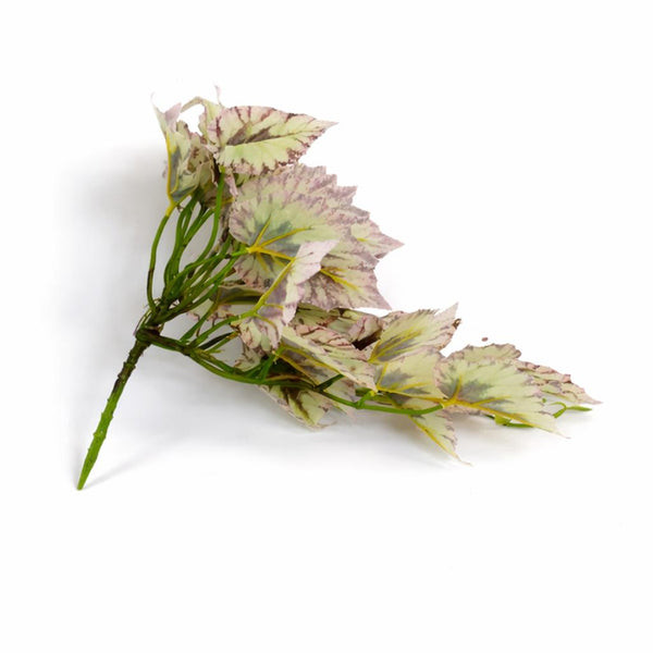 30cm Artificial Trailing Cream and Pink Caladium