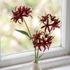Pack of 6 x 72cm Artificial Burgundy Spider Lily Stems