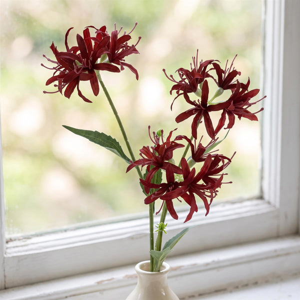 Pack of 6 x 72cm Artificial Burgundy Spider Lily Stems